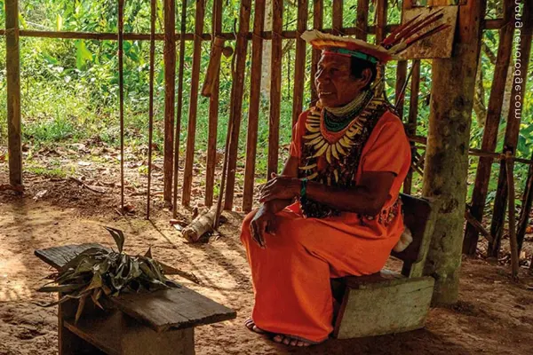 Tour personalizado Amazonía Ecuador