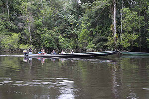 Amazon cuyabeno photo