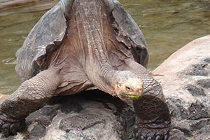 Galapagos land tours