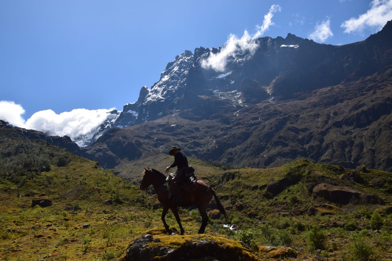 Paseo a Caballo
