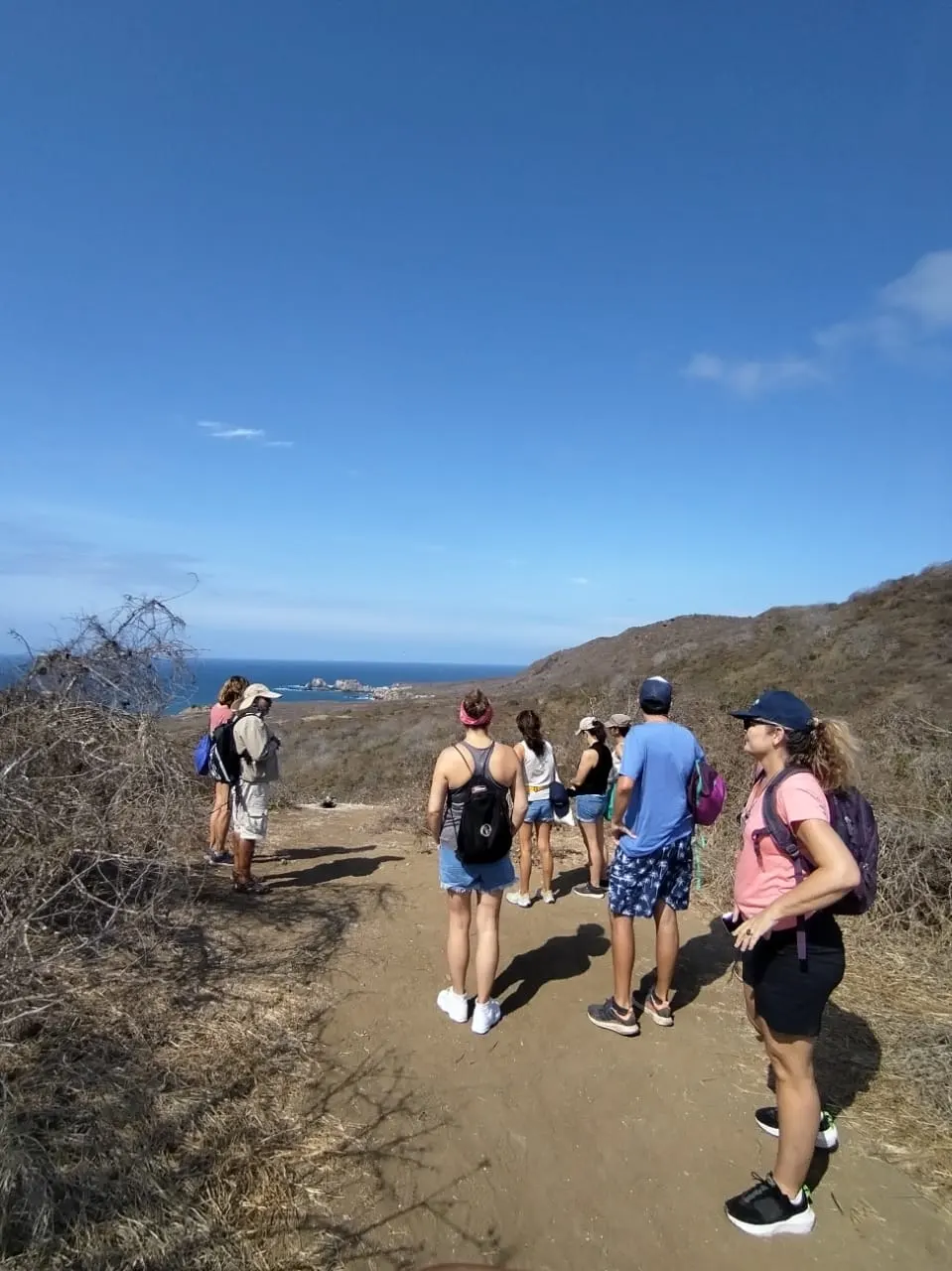 Turistas observando piqueros en el sendero de la Isla de la Plata