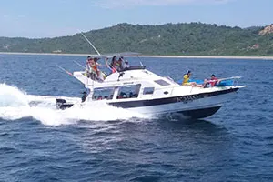 Avistamiento de ballenas en la isla de la Plata 