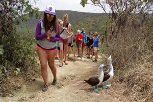 caminando por los senderos de la isla de la plata puedes ver piqueros ppatas azules
