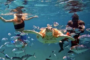 Tiempo para hacer snorkelling en la isla de la plata